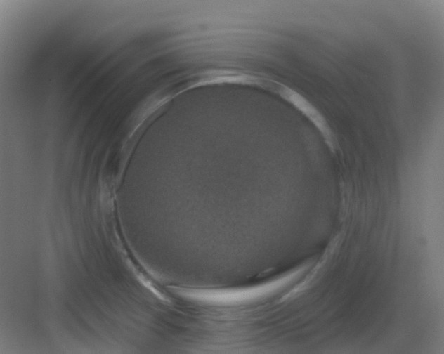 X0000082931377200702081529