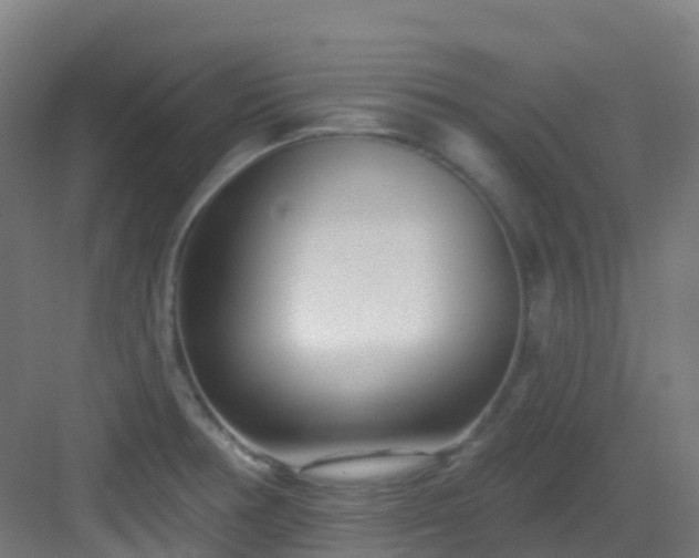 X0000082931378200702081529