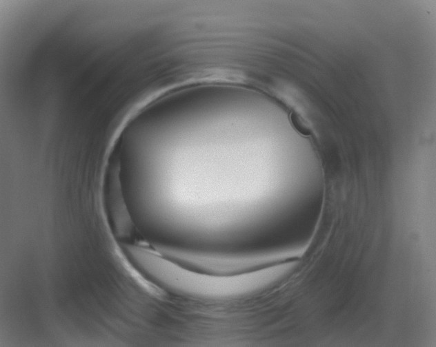 X0000082931379200702081529