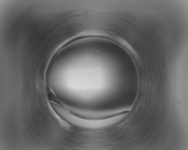 X0000082931380200702081529