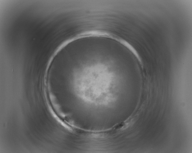 X0000082931381200702081529