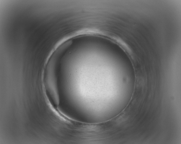 X0000082931382200702081529