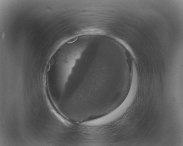 X0000082931383200702081529