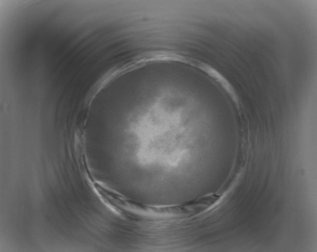 X0000082931385200702081529