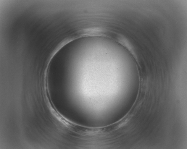 X0000082931386200702081529