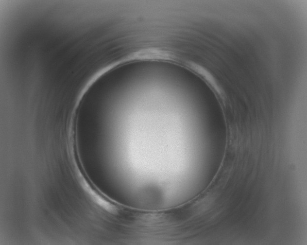 X0000082931387200702081529