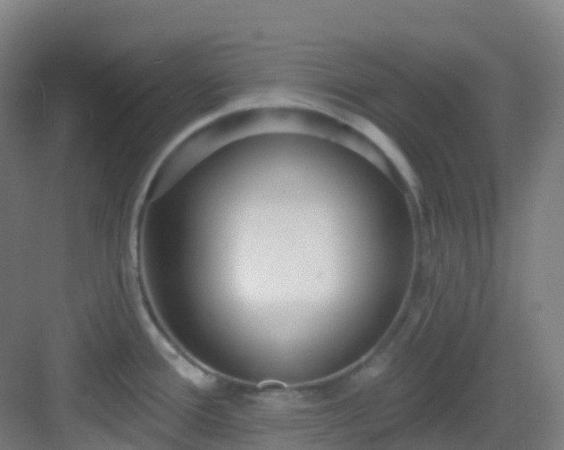 X0000082931388200702081529