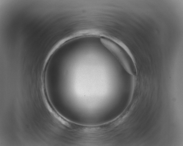 X0000082931389200702081529