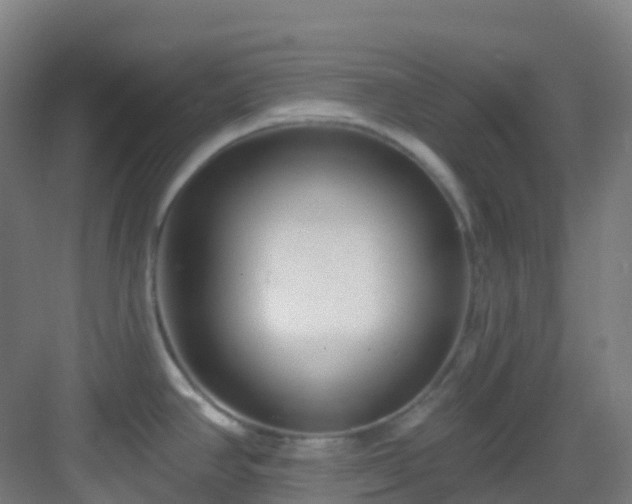 X0000082931390200702081529