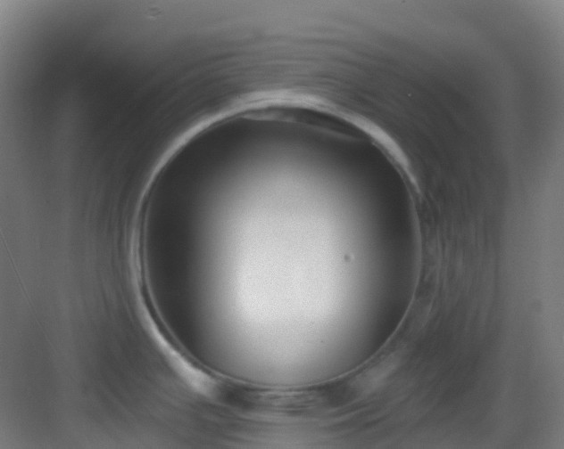 X0000082931391200702081529