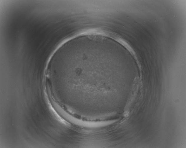 X0000082931392200702081529