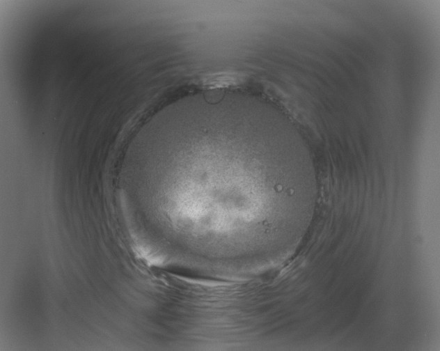 X0000082931393200702081528