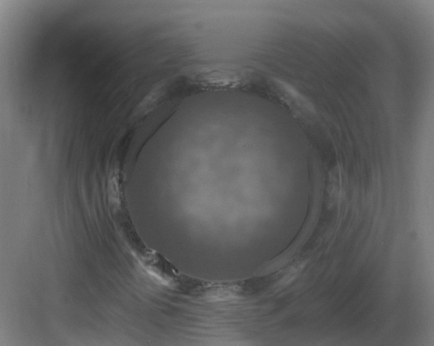 X0000082931394200702081528