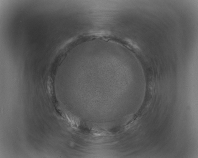 X0000082931398200702081528