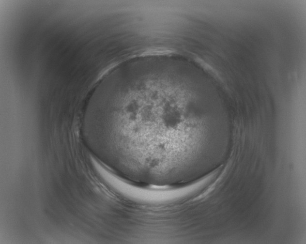 X0000082931401200702081528