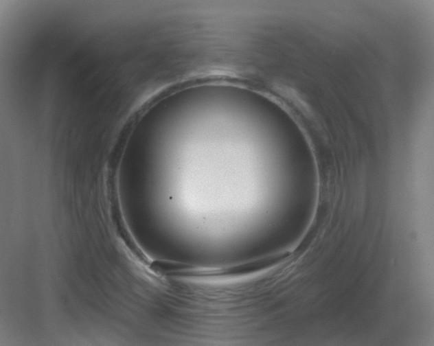 X0000082931404200702081528