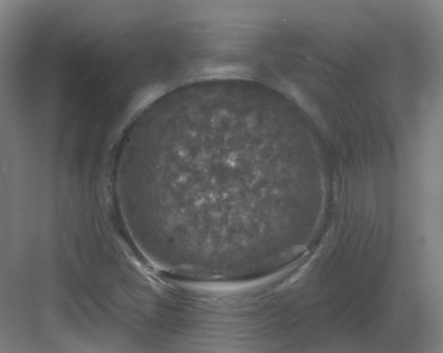 X0000082931405200702081528