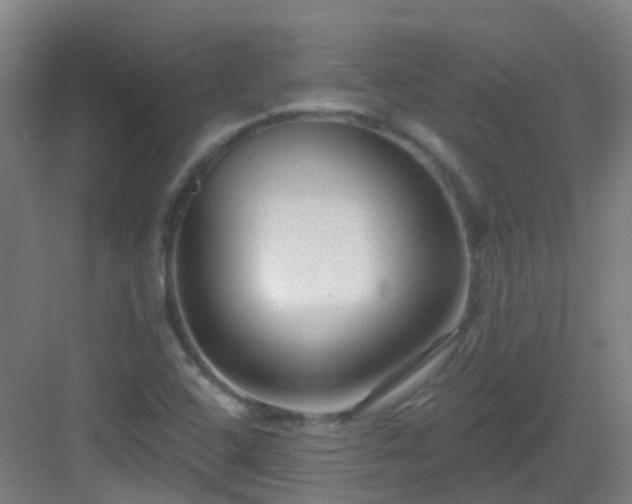 X0000082931408200702081528