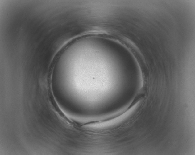 X0000082931412200702081528