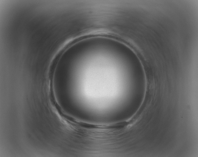 X0000082931414200702081528