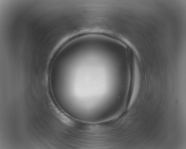 X0000082931416200702081529