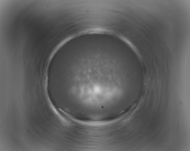 X0000082931418200702081529