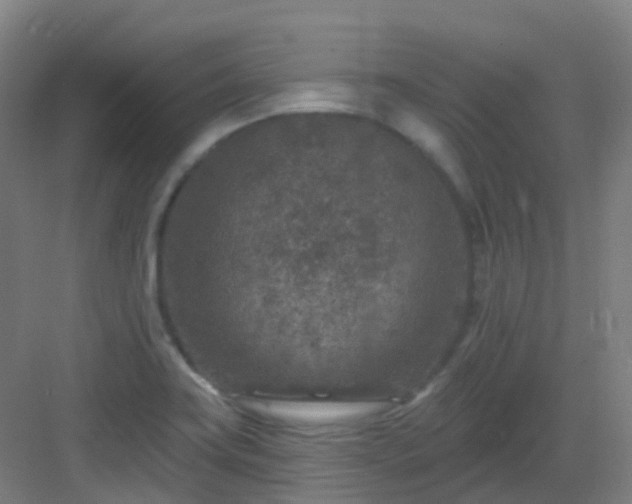 X0000082931419200702081529