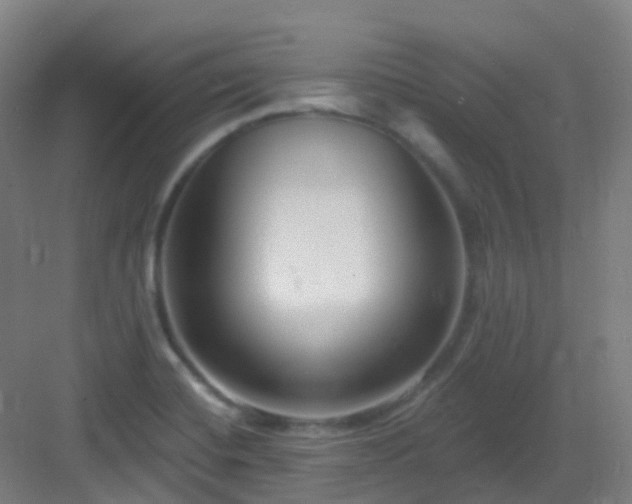 X0000082931420200702081529