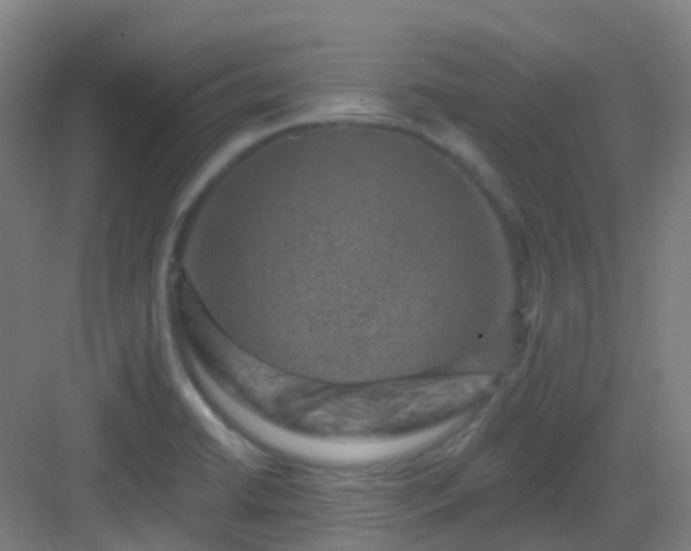 X0000082931422200702081529