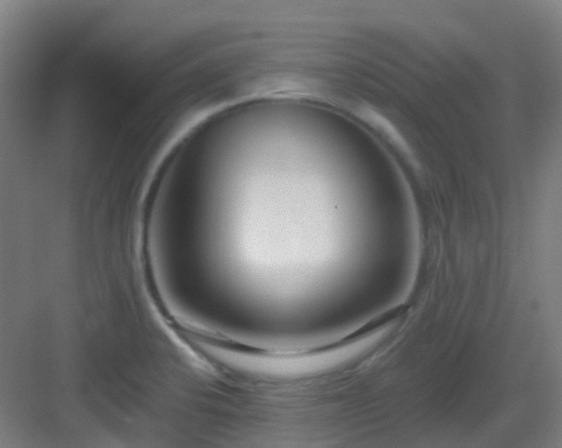 X0000082931424200702081529