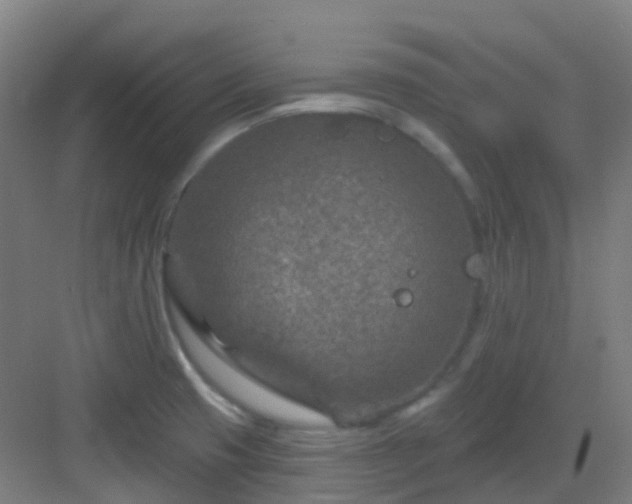 X0000082931425200702081529