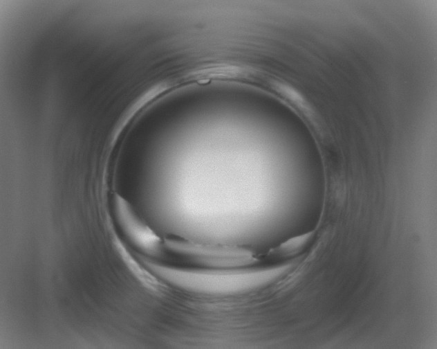 X0000082931426200702081529