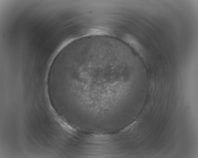 X0000082931427200702081529