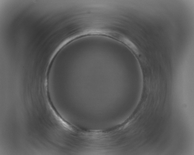 X0000082931428200702081529