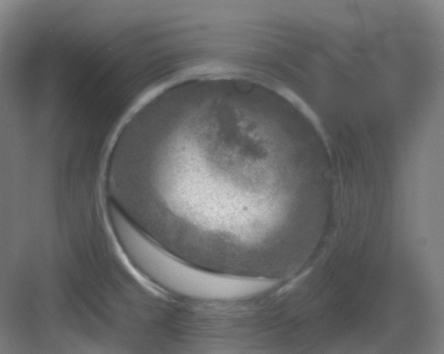 X0000082931429200702081529