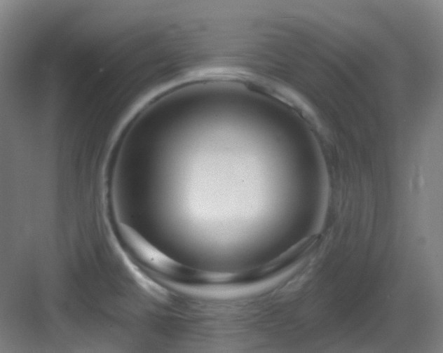 X0000082931430200702081529