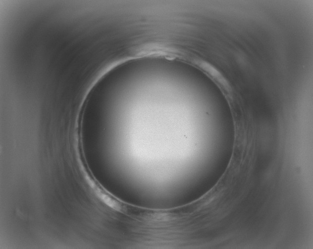 X0000082931431200702081529