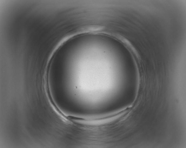 X0000082931432200702081529