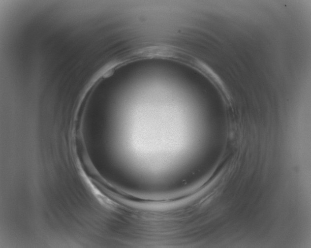 X0000082931434200702081529