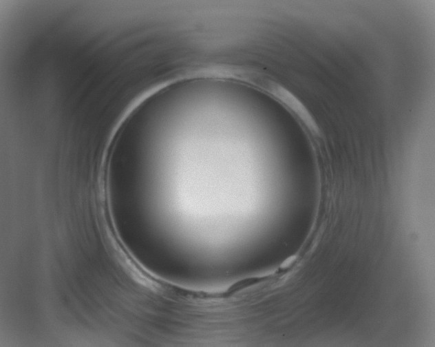 X0000082931436200702081529