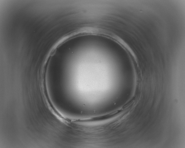 X0000082931437200702081529