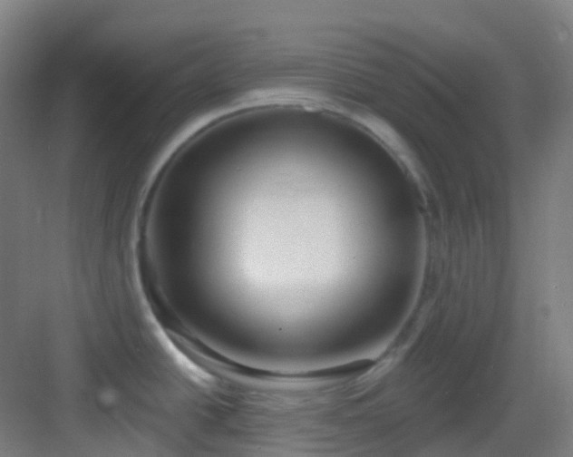 X0000082931438200702081529