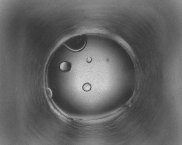 X0000082931439200702081529