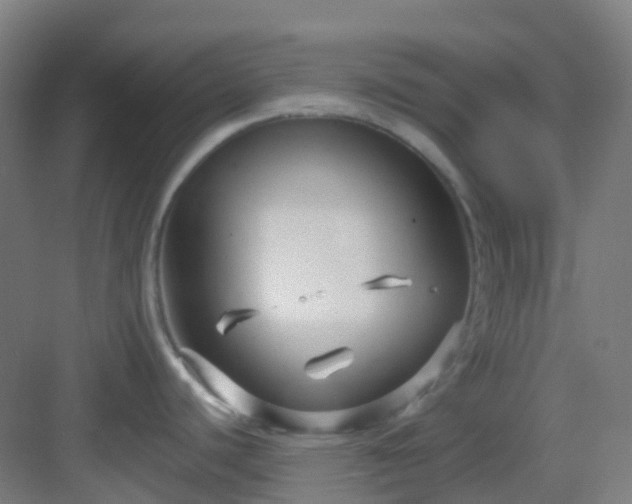 X0000082931440200702081529