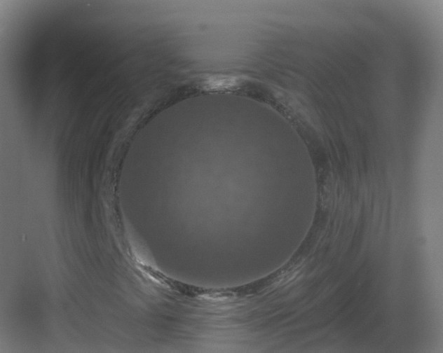 X0000082931441200702081528