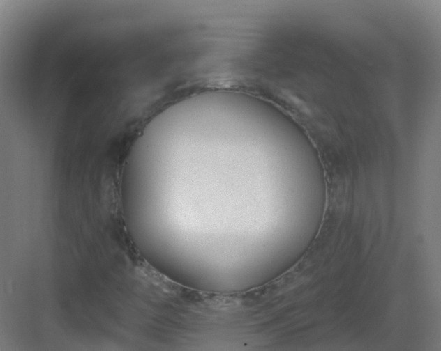 X0000082931446200702081528