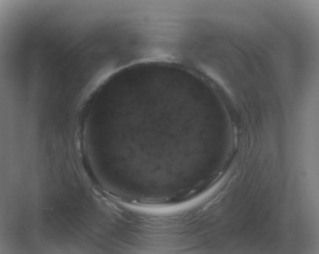 X0000082931455200702081528