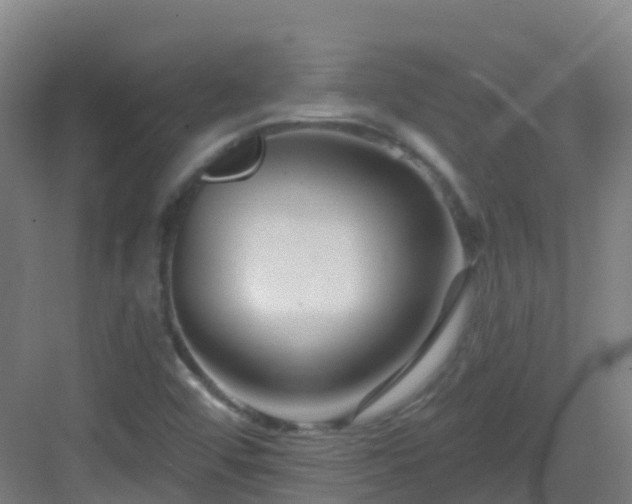 X0000082931456200702081528