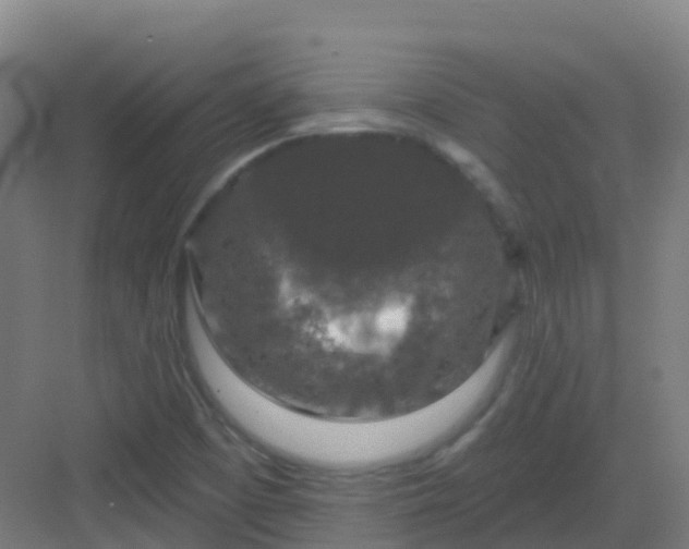 X0000082931457200702081528