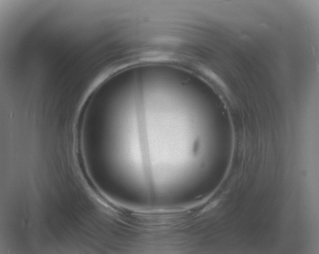 X0000082931467200702081528